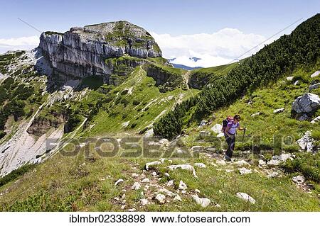 "Hiker during the ascent of Cornetto Mountain in the Tre Cime del Monte Bondone nature reserve, Dos d'Abramo Mountain at the rear, Trentino, Italy, Europe" View Large Photo Image Stock Photo - "Hiker during the ascent of Cornetto Mountain in the Tre Cime del Monte Bondone nature reserve, Dos d'Abramo Mountain at the rear, Trentino, Italy, Europe". Fotosearch