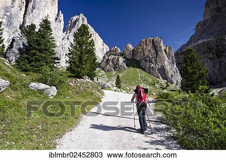 "Hiker during the ascent of Kesselkogel Mountain, looking towards the Rosengarten Group, Trentino, Italy, Europe" View Large Photo Image Stock Image - "Hiker during the ascent of Kesselkogel Mountain, looking towards the Rosengarten Group, Trentino, Italy, Europe". Fotosearch