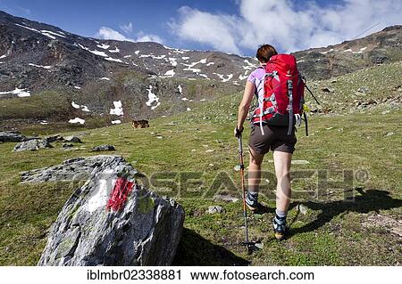 "Hiker during the ascent to Gleckspitz Mountain in the rear of the Ulten Valley, looking towards the summit of Gleckspitz Mountain, Ulten Valley, Alto Adige, Italy, Europe" View Large Photo Image Stock Image - "Hiker during the ascent to Gleckspitz Mountain in the rear of the Ulten Valley, looking towards the summit of Gleckspitz Mountain, Ulten Valley, Alto Adige, Italy, Europe". Fotosearch