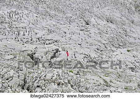 Stock Photography - "Hiker in the Gottesackerplateau karst landscape, Kleinwalsertal, Vorarlberg, Allgaeu Alps, Austria, Europe, PublicGround, Europe". Fotosearch