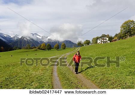 Stock Photo - Hiker, Nordic walking, Hochkreut, Bayrischzell, Upper Bavaria, Bavaria, Germany, Europe. Fotosearch