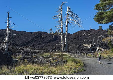 Stock Image - "Hiker on the gravel road through the lava field from 2002, Mount Etna, in Mascali, Sicily, Italy, Europe". Fotosearch