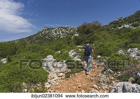 "Hiker on the Su Golgo plateau, Baunei, Ogliastra province, Sardinia, Italy, Europe" View Large Photo Image Picture - "Hiker on the Su Golgo plateau, Baunei, Ogliastra province, Sardinia, Italy, Europe". Fotosearch