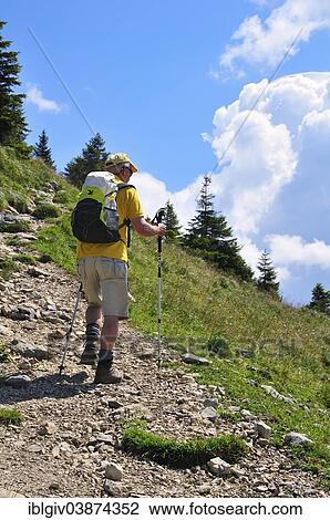 "Hiker with a backpack and hiking poles, Mt Brecherspitz, Schliersee, Upper Bavaria, Bavaria, Germany, Europe" View Large Photo Image Stock Image - "Hiker with a backpack and hiking poles, Mt Brecherspitz, Schliersee, Upper Bavaria, Bavaria, Germany, Europe". Fotosearch