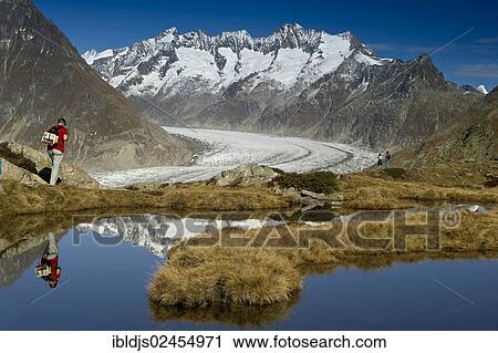 "Hikers, Aletsch Glacier and the Bernese Oberland, UNESCO World Heritage Site, Bettmeralp, Valais, Switzerland, Europe" View Large Photo Image Stock Image - "Hikers, Aletsch Glacier and the Bernese Oberland, UNESCO World Heritage Site, Bettmeralp, Valais, Switzerland, Europe". Fotosearch