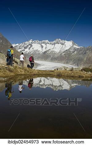 "Hikers, Aletsch Glacier and the Bernese Oberland, UNESCO World Heritage Site, Bettmeralp, Valais, Switzerland, Europe" View Large Photo Image Stock Image - "Hikers, Aletsch Glacier and the Bernese Oberland, UNESCO World Heritage Site, Bettmeralp, Valais, Switzerland, Europe". Fotosearch