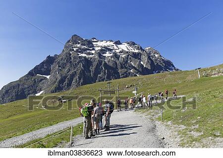 "Hikers at Mt Schafberg, Mt Madrisa at the back, Montafon, Ratikon mountain range, Vorarlberg, Austria, Europe" View Large Photo Image Stock Image - "Hikers at Mt Schafberg, Mt Madrisa at the back, Montafon, Ratikon mountain range, Vorarlberg, Austria, Europe". Fotosearch