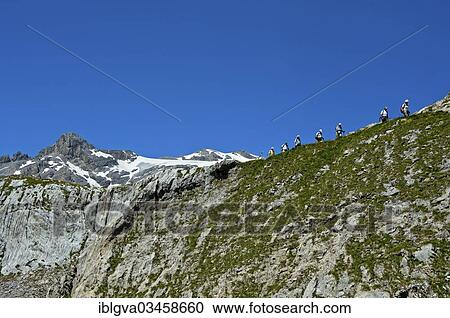 "Hikers below the summit of Wildhorn Mountain, Bernese Alps, Canton of Valais, Switzerland, Europe" View Large Photo Image Stock Image - "Hikers below the summit of Wildhorn Mountain, Bernese Alps, Canton of Valais, Switzerland, Europe". Fotosearch