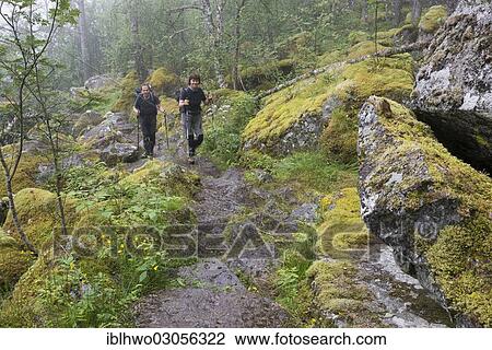 "Hikers climbing a mountain path to Hardangervidda mountain plateau, with moss-covered boulders, Kinsarvik, Husedal-Tal, Hordaland, Western Norway, Norway, Europe" View Large Photo Image Stock Image - "Hikers climbing a mountain path to Hardangervidda mountain plateau, with moss-covered boulders, Kinsarvik, Husedal-Tal, Hordaland, Western Norway, Norway, Europe". Fotosearch