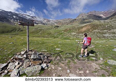 Stock Image - "Hikers climbing Gleckspitz mountain in the rearmost Ultental valley, the summit of Gleckspitz mountain at the back, province of Bolzano-Bozen, Italy, Europe". Fotosearch