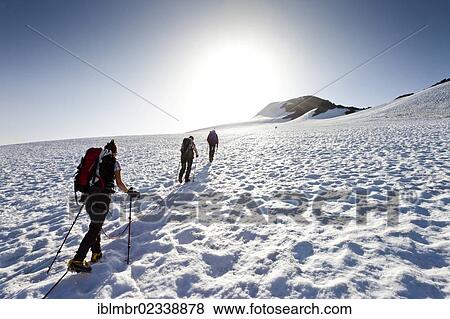 "Hikers during the ascent to Similaun Mountain on the Niederioech Ferner in Val Senales above the Fernagt Reservoir, Similaun Mountain at the rear, Alto Adige, Italy, Europe" View Large Photo Image Stock Photo - "Hikers during the ascent to Similaun Mountain on the Niederioech Ferner in Val Senales above the Fernagt Reservoir, Similaun Mountain at the rear, Alto Adige, Italy, Europe". Fotosearch