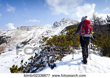 Stock Photo - "Hikers during the ascent to Weisshorn Mountain from Radein via the Zirmsteig climbing route, above Bletterbach Gorge, summit at the rear, Alto Adige, Italy, Europe". Fotosearch