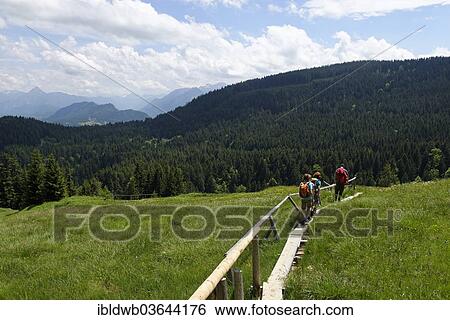 "Hikers, father, 45, daughters, 11, son, 13, walking along the boardwalk on the Kappeler Alp, Nesselwang, Swabia, Bavaria, Germany, Europe" View Large Photo Image Stock Photograph - "Hikers, father, 45, daughters, 11, son, 13, walking along the boardwalk on the Kappeler Alp, Nesselwang, Swabia, Bavaria, Germany, Europe". Fotosearch