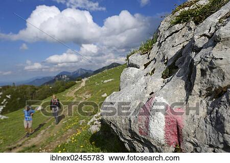 "Hikers in front of Hochplatte Mountain, Chiemgau, Bavaria, Germany, Europe" View Large Photo Image Stock Image - "Hikers in front of Hochplatte Mountain, Chiemgau, Bavaria, Germany, Europe". Fotosearch