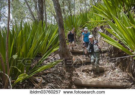 Stock Photo - "Hikers in the forest, Fogo National Park, Fogo Island, Cape Verde, Africa". Fotosearch