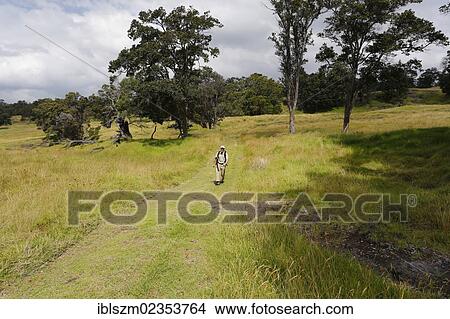"Hikers in the new Kahuku Unit of Hawaii Volcanoes National Park, Big Island, Hawaii, USA" View Large Photo Image Picture - "Hikers in the new Kahuku Unit of Hawaii Volcanoes National Park, Big Island, Hawaii, USA". Fotosearch
