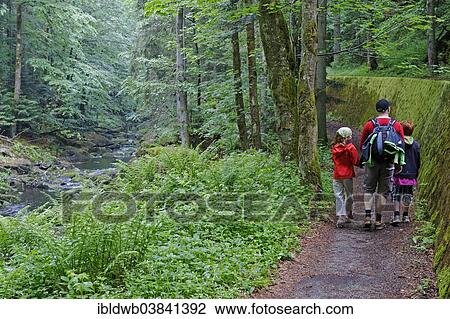"Hikers in the Wildbachklamm Buchberger Leite geotope, Wildbachklamm gorge, Bavarian Forest, Lower Bavaria, Bavaria, Germany, Europe" View Large Photo Image Stock Image - "Hikers in the Wildbachklamm Buchberger Leite geotope, Wildbachklamm gorge, Bavarian Forest, Lower Bavaria, Bavaria, Germany, Europe". Fotosearch