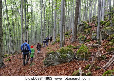 "Hikers, Knottenhange hills, Bavarian Forest National Park, near Waldhauser, Lower Bavaria, Bavaria, Germany, Europe" View Large Photo Image Stock Image - "Hikers, Knottenhange hills, Bavarian Forest National Park, near Waldhauser, Lower Bavaria, Bavaria, Germany, Europe". Fotosearch