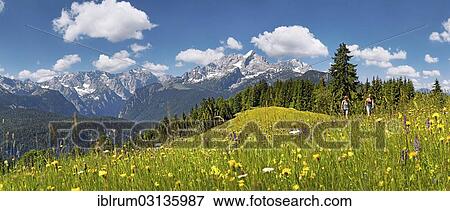 Stock Photo - "Hikers on a green meadow on Eckbauer Mountain, Eckbauer, Garmisch-Partenkirchen, Upper Bavaria, Bavaria, Germany, Europe". Fotosearch
