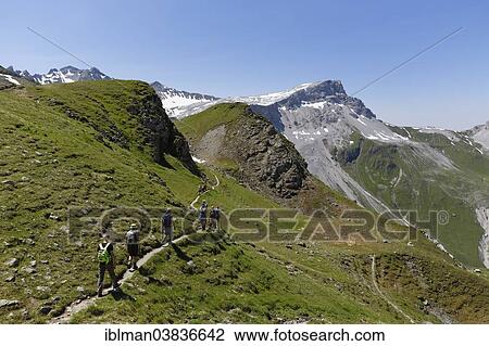 "Hikers on a smugglers' trail, Mt Ratschenfluh, Madrisa, Ratikon mountain range, Graubunden or Grisons, Switzerland, Europe" View Large Photo Image Stock Image - "Hikers on a smugglers' trail, Mt Ratschenfluh, Madrisa, Ratikon mountain range, Graubunden or Grisons, Switzerland, Europe". Fotosearch