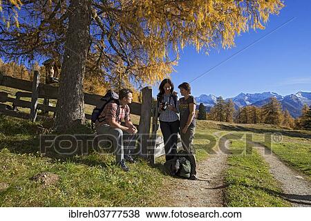 "Hikers on the Larchenwiesen meadows, Obernbergtal, Tyrol, Austria, Europe" View Large Photo Image Stock Photo - "Hikers on the Larchenwiesen meadows, Obernbergtal, Tyrol, Austria, Europe". Fotosearch