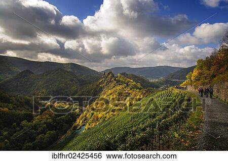 "Hikers on the Red Wine Hiking Trail from Altenahr to Mayschoss, Rhineland-Palatinate, Germany, Europe" View Large Photo Image Stock Photograph - "Hikers on the Red Wine Hiking Trail from Altenahr to Mayschoss, Rhineland-Palatinate, Germany, Europe". Fotosearch