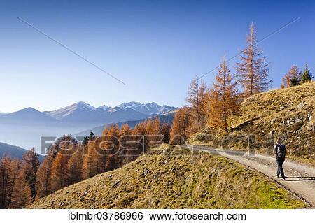 "Hikers on the way down from the Getrumalm at Reinwald in the Sarn Valley, South Tyrol, Italy, Europe" View Large Photo Image Stock Photograph - "Hikers on the way down from the Getrumalm at Reinwald in the Sarn Valley, South Tyrol, Italy, Europe". Fotosearch