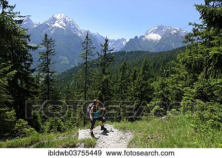 "Hikers on the way to Mt. Toter Mann, Hochschwarzeck, behind Mt. Watzmann, Ramsau bei Berchtesgaden, Berchtesgadener Land District, Upper Bavaria, Bavaria, Germany, Europe" View Large Photo Image Stock Photo - "Hikers on the way to Mt. Toter Mann, Hochschwarzeck, behind Mt. Watzmann, Ramsau bei Berchtesgaden, Berchtesgadener Land District, Upper Bavaria, Bavaria, Germany, Europe". Fotosearch