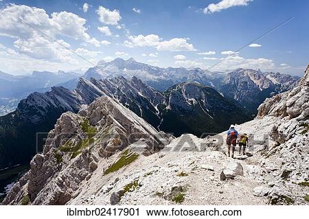 Stock Image - Hikers on their way down from the summit of Cristallino mountain, here on the Ivano Dibona fixed rope route on Cristallo mountain, Tofane mountain at the back, Belluno, Dolomites, Italy, Europe. Fotosearch