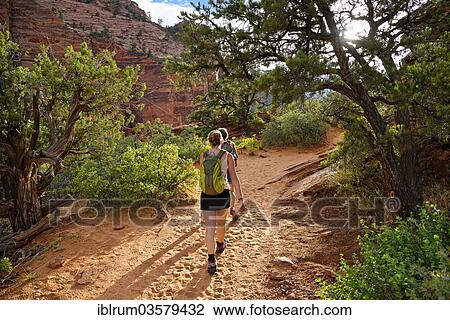 "Hikers on their way to Canyon Overlook, Zion National Park, Utah, United States, North America" View Large Photo Image Stock Image - "Hikers on their way to Canyon Overlook, Zion National Park, Utah, United States, North America". Fotosearch