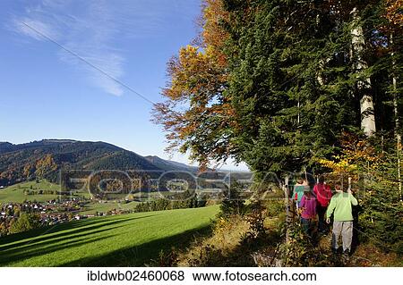 "Hikers on their way to the Schliersbergalm alp, near lake Schliersee, Upper Bavaria, Bavaria, Germany, Europe" View Large Photo Image Stock Photo - "Hikers on their way to the Schliersbergalm alp, near lake Schliersee, Upper Bavaria, Bavaria, Germany, Europe". Fotosearch