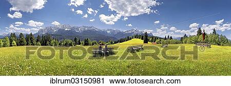 "Hikers relaxing on a bench in the middle of a flowery meadow with panoramic views towards the Wetterstein Massif with the Alps and Zugspitze Mountain, Wamberg, Upper Bavaria, Bavaria, Germany, Europe" View Large Photo Image Stock Image - "Hikers relaxing on a bench in the middle of a flowery meadow with panoramic views towards the Wetterstein Massif with the Alps and Zugspitze Mountain, Wamberg, Upper Bavaria, Bavaria, Germany, Europe". Fotosearch