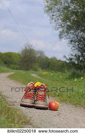 Hiking boots with an apple and dandelion flowers on a path View Large Photo Image Stock Photo - Hiking boots with an apple and dandelion flowers on a path. Fotosearch
