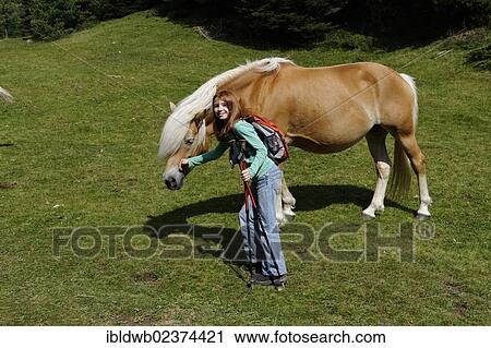 "Hiking girl with a Haflinger horse in a pasture, near Raschoetz near St. Ulrich or Ortisei, Val Gardena valley or Groednertal valley, province of Bolzano-Bozen, Alto Adige, Italy, Europe" View Large Photo Image Stock Image - "Hiking girl with a Haflinger horse in a pasture, near Raschoetz near St. Ulrich or Ortisei, Val Gardena valley or Groednertal valley, province of Bolzano-Bozen, Alto Adige, Italy, Europe". Fotosearch