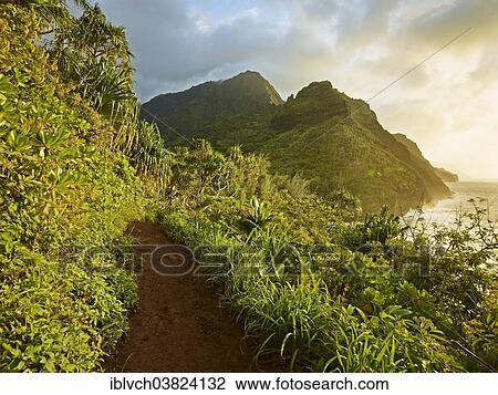 "Hiking trail at Napali Coast, Kaua'i, Hawaii, USA" View Large Photo Image Stock Image - "Hiking trail at Napali Coast, Kaua'i, Hawaii, USA". Fotosearch