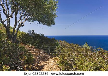 "Hiking trail at the foot of the Su Golgo plateau near Santa Maria Navarese, Baunei, Ogliastra province, Sardinia, Italy, Europe" View Large Photo Image Stock Photograph - "Hiking trail at the foot of the Su Golgo plateau near Santa Maria Navarese, Baunei, Ogliastra province, Sardinia, Italy, Europe". Fotosearch
