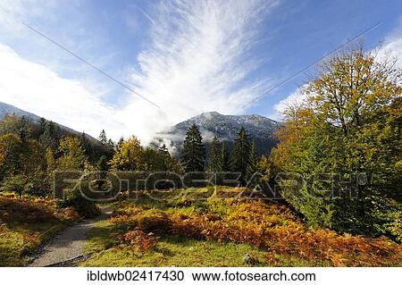 Stock Image - Hiking trail near Bayrischzell and Seeberg mountain, Upper Bavaria, Bavaria, Germany, Europe. Fotosearch