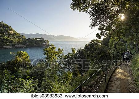 "Hiking trail, near Portofino, Liguria, Italy, Europe" View Large Photo Image Stock Image - "Hiking trail, near Portofino, Liguria, Italy, Europe". Fotosearch