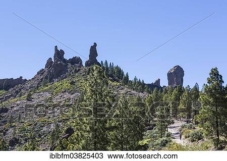"Hiking trail to Roque Nublo, summit, Gran Canaria, Canary Islands, Spain, Europe" View Large Photo Image Stock Image - "Hiking trail to Roque Nublo, summit, Gran Canaria, Canary Islands, Spain, Europe". Fotosearch