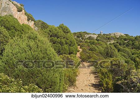 "Hiking trail to the Capo Spativento lighthouse, Costa del Sud, Sardinia, Italy, Europe" View Large Photo Image Stock Photograph - "Hiking trail to the Capo Spativento lighthouse, Costa del Sud, Sardinia, Italy, Europe". Fotosearch