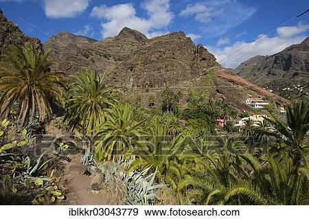 Stock Photo - "Hiking trail, Valle Gran Rey, La Gomera, Canary Islands, Spain, Europe". Fotosearch