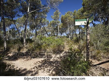 "Hiking trail with signpost, Parc Natural de Mondrago, Mallorca, Majorca, Balearic Islands, Spain, Europe" View Large Photo Image Stock Image - "Hiking trail with signpost, Parc Natural de Mondrago, Mallorca, Majorca, Balearic Islands, Spain, Europe". Fotosearch