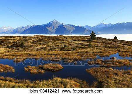 "Hill bog in the Zillertal above fog, Filzenlacke, Schwendau, Zillertal, Tyrol, Austria, Europe" View Large Photo Image Stock Image - "Hill bog in the Zillertal above fog, Filzenlacke, Schwendau, Zillertal, Tyrol, Austria, Europe". Fotosearch