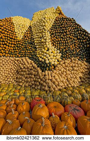 Hill made out of pumpkins, pumpkin exhibition, Ludwigsburg, Baden-Wuerttemberg, Germany, Europe View Large Photo Image Stock Image - Hill made out of pumpkins, pumpkin exhibition, Ludwigsburg, Baden-Wuerttemberg, Germany, Europe. Fotosearch