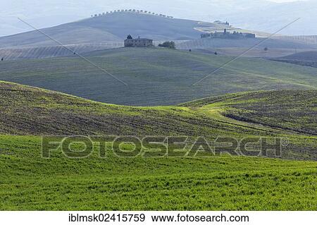 Hilly landscape in autumn, Pienza, Val d'Orcia, Orcia Valley, UNESCO World Cultural Heritage Site, Tuscany region, province of Siena, Italy, Europe View Large Photo Image Stock Photo - Hilly landscape in autumn, Pienza, Val d'Orcia, Orcia Valley, UNESCO World Cultural Heritage Site, Tuscany region, province of Siena, Italy, Europe. Fotosearch