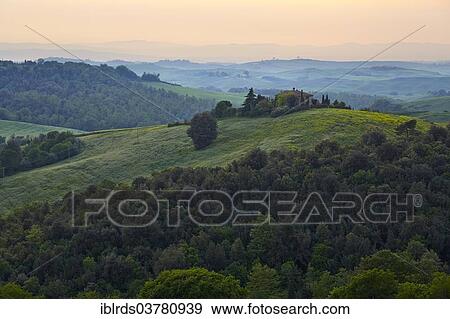 "Hilly landscape in the evening light, Crete Senesi, Trequanda, Tuscany, Italy, Europe" View Large Photo Image Stock Photo - "Hilly landscape in the evening light, Crete Senesi, Trequanda, Tuscany, Italy, Europe". Fotosearch