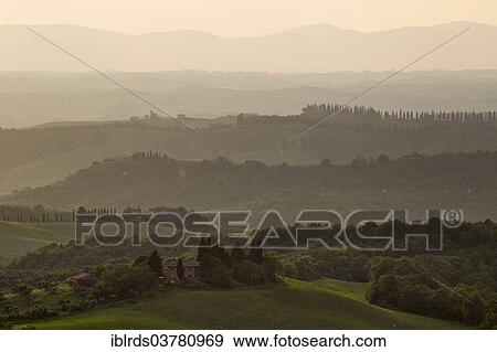 "Hilly landscape in the evening light, Crete Senesi, Trequanda, Tuscany, Italy, Europe" View Large Photo Image Stock Photo - "Hilly landscape in the evening light, Crete Senesi, Trequanda, Tuscany, Italy, Europe". Fotosearch