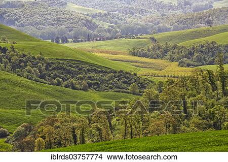 "Hilly landscape of the Crete Senesi region, Rosennano, Province of Siena, Tuscany, Italy, Europe" View Large Photo Image Picture - "Hilly landscape of the Crete Senesi region, Rosennano, Province of Siena, Tuscany, Italy, Europe". Fotosearch