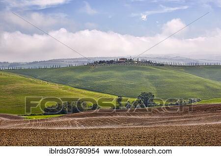"Hilly landscape of the Crete Senesi, Chiusure, Tuscany, Italy, Europe" View Large Photo Image Picture - "Hilly landscape of the Crete Senesi, Chiusure, Tuscany, Italy, Europe". Fotosearch