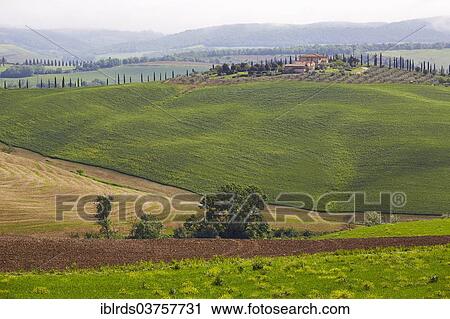 "Hilly landscape of the Crete Senesi region, San Giovanni D'Asso, Province of Siena, Tuscany, Italy, Europe" View Large Photo Image Stock Image - "Hilly landscape of the Crete Senesi region, San Giovanni D'Asso, Province of Siena, Tuscany, Italy, Europe". Fotosearch